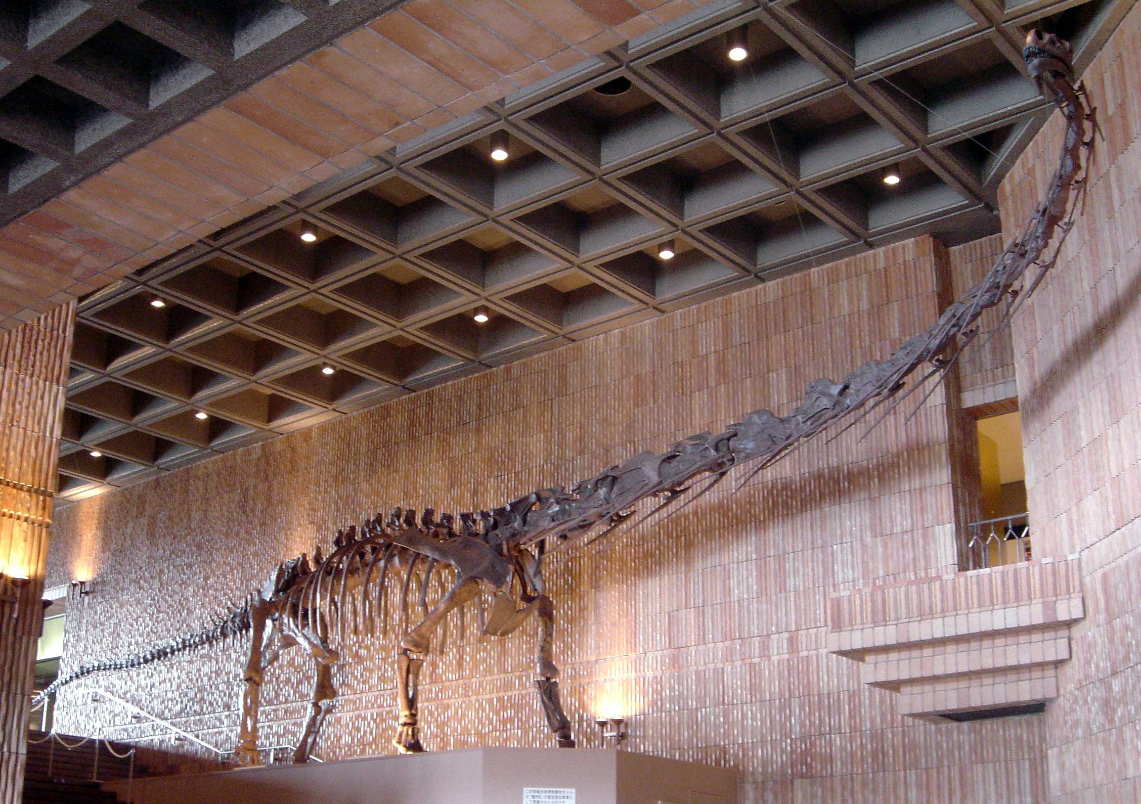 🏛️ 이와테 현립 박물관 (이와테 켄리츠 하쿠부츠칸) 이미지 8